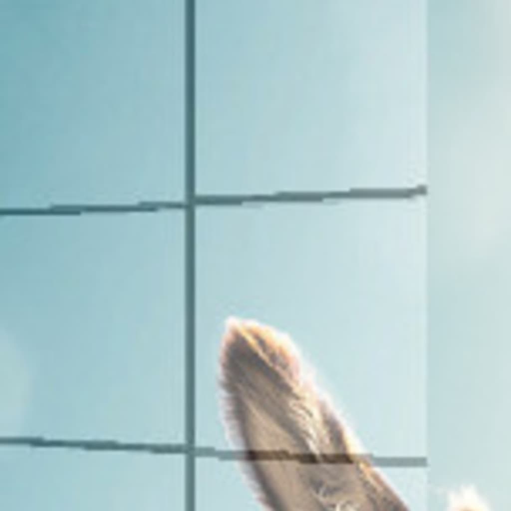 bahçe duvarından aştım Vahşi Tablo en Görünüm 5