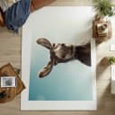 Ürün görünümü 3