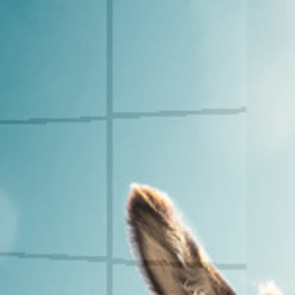 bahçe duvarından aştım Vahşi Tablo en Görünüm 1