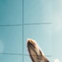 Ürün görünümü 1