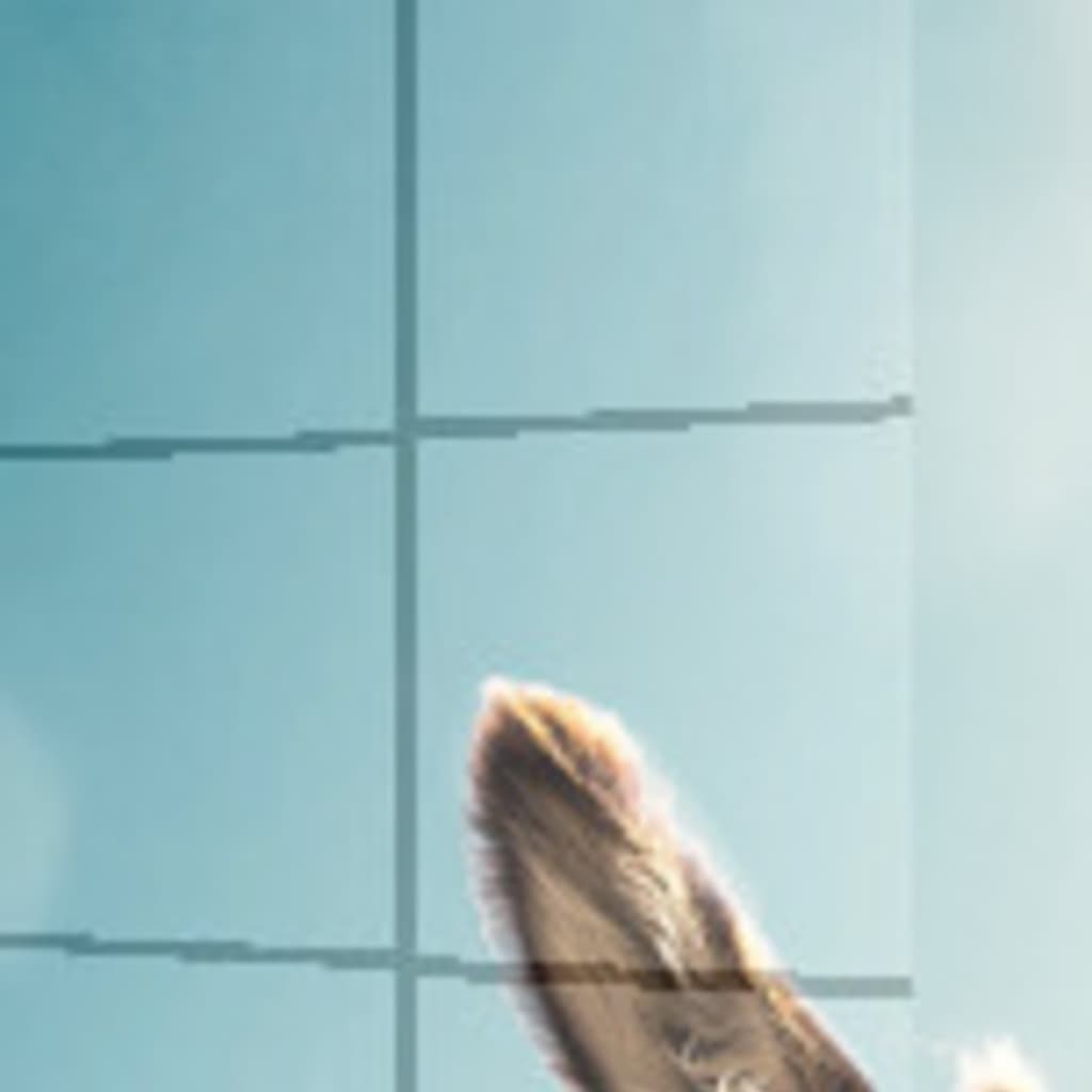 bahçe duvarından aştım Vahşi Tablo en Görünüm 2