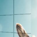 Ürün görünümü 2