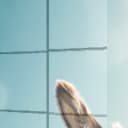 Ürün görünümü 3