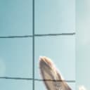 Ürün görünümü 4